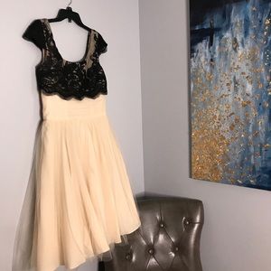Vintage Fairy Dress